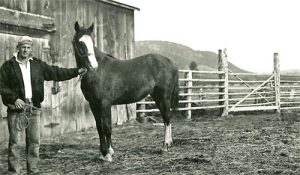 My Dad at the Guichon Ranch in the 1940’s