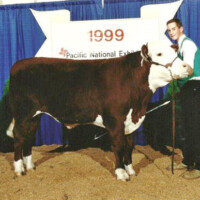 Carl with his purebred Polled Hereford 4H Steer Jason