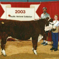Cole with his 4H Steer