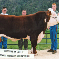 Coppertone 36N TAL ET 3T