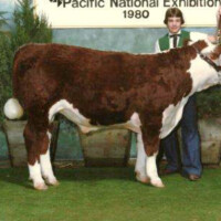 Patrick with his 4H Steer